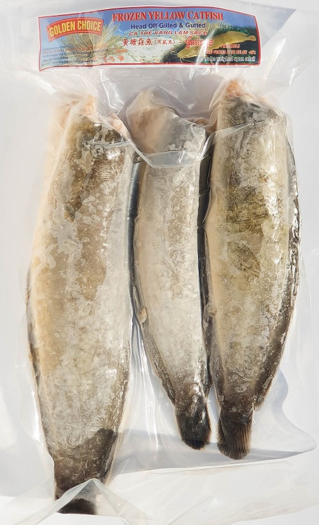 Frozen Yellow Catfish (Head off & Gutted)